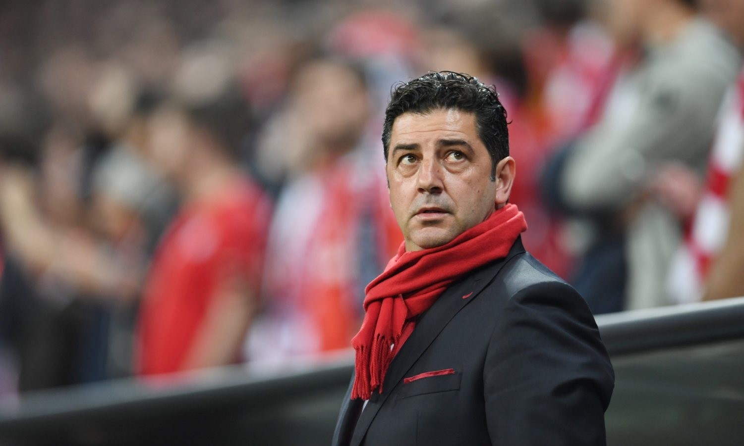 Os convocados do Benfica para defrontar o Estoril