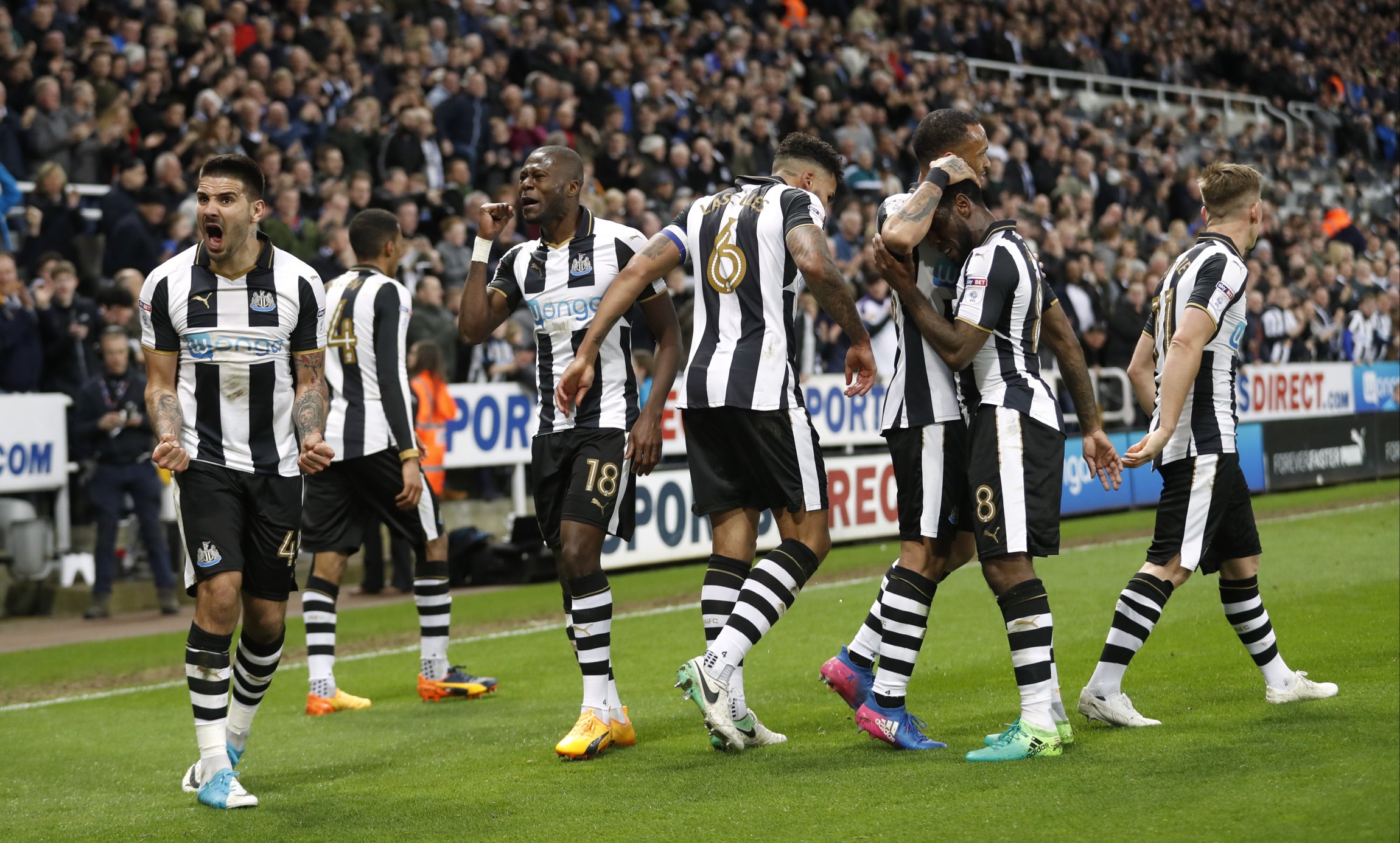 Newcastle está de regresso à Premier League