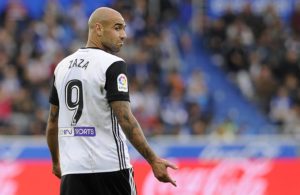 Zaza com mercado em casa.