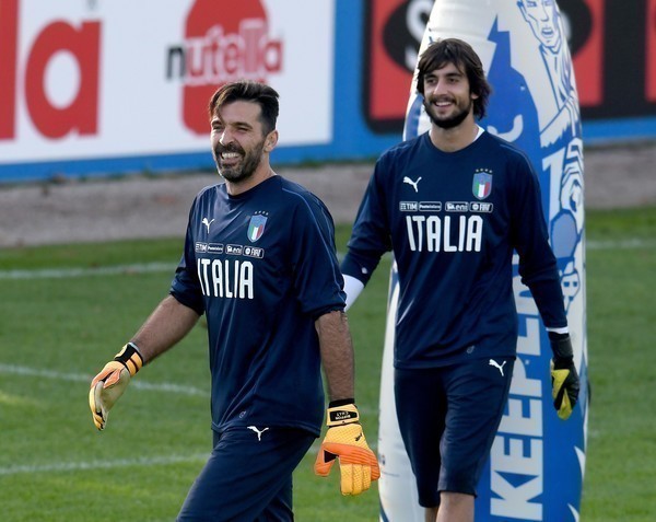 O substituto de Buffon.