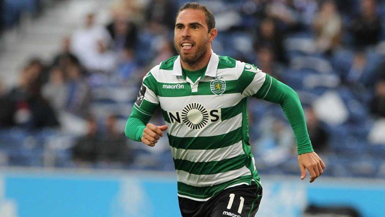 5 Leões com guia de marcha.