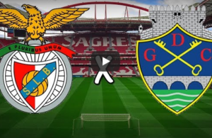 Previsão: Benfica vs Chaves