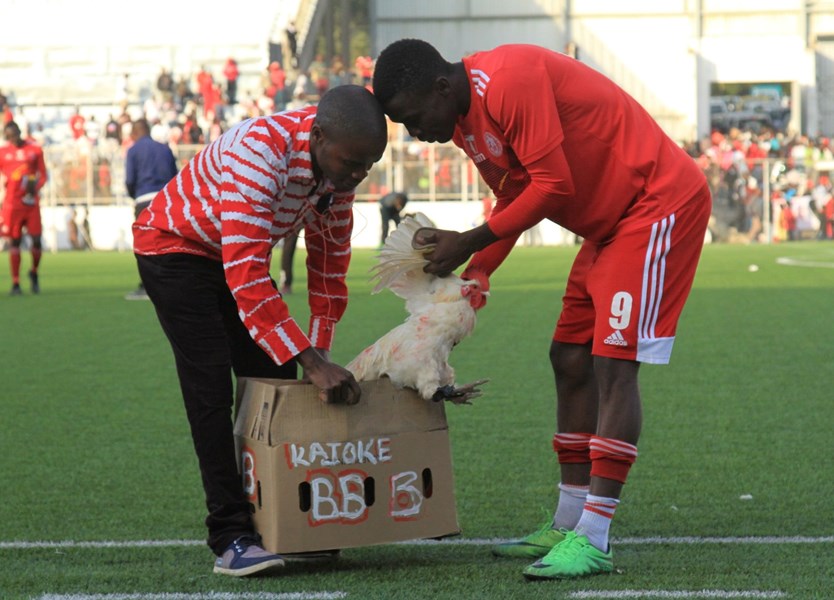 Insólito: Faz dois golos e ganha uma galinha como prémio.