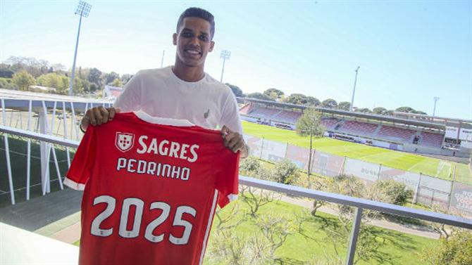 Ex-Treinador elogia Pedrinho