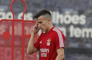 Cervi de malas feitas.