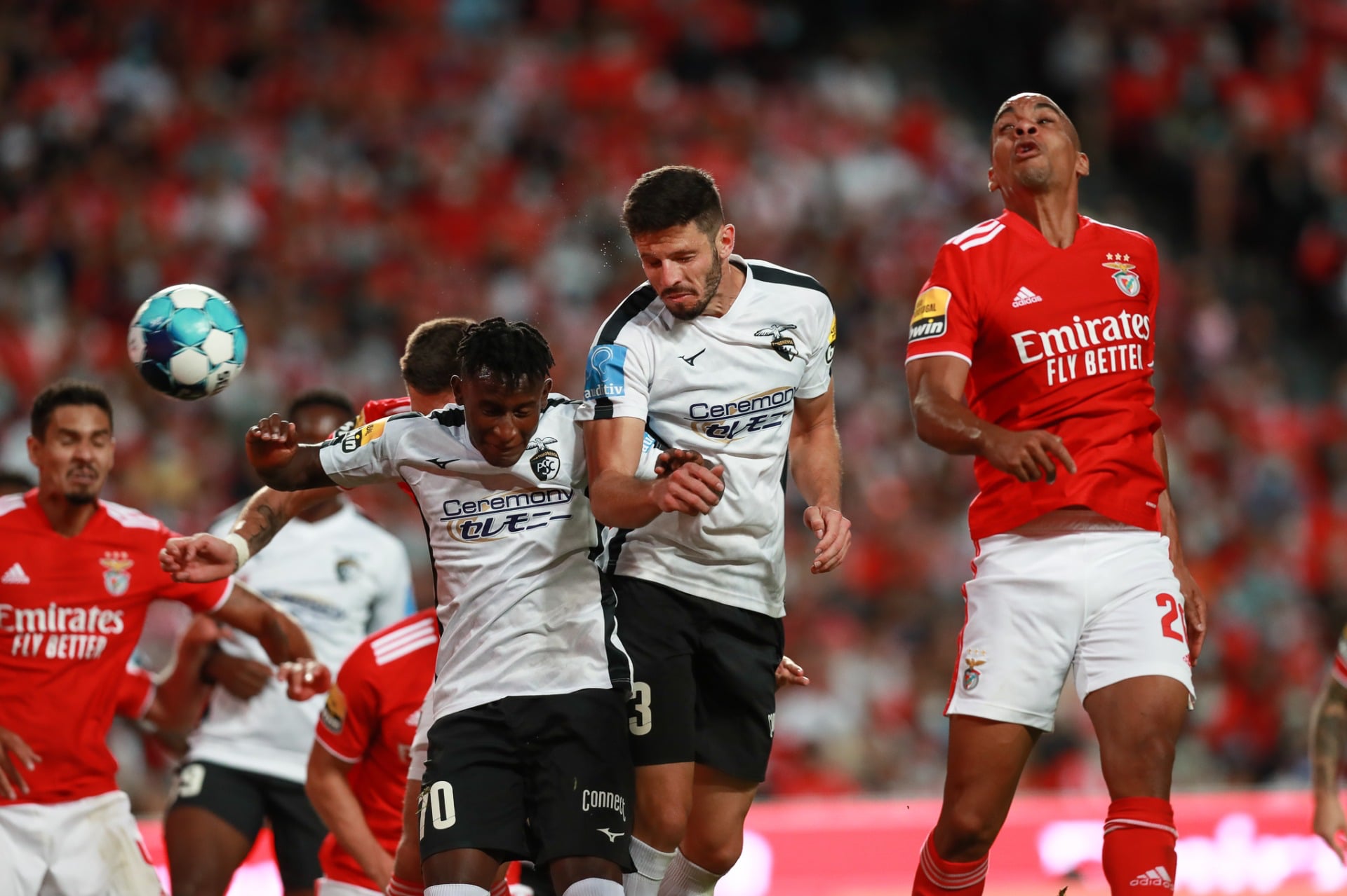 Benfica x Portimonense como aconteceu – Resultado, destaques e reação