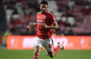 Gonçalo Ramos nas graças dos adeptos vermelhos