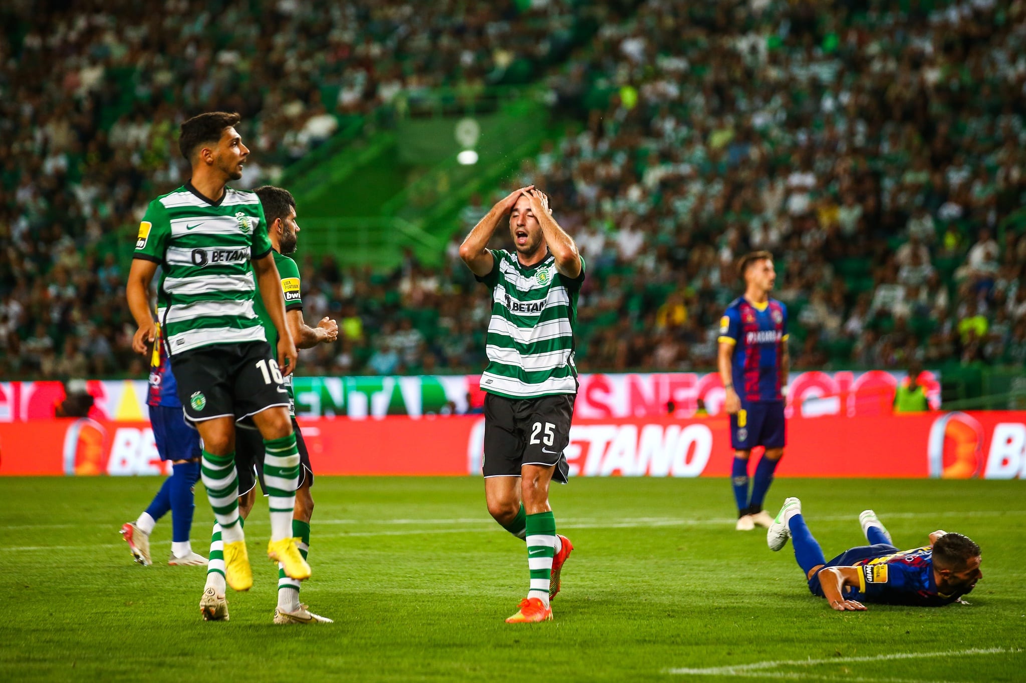 Estoril x Sporting CP ao vivo 02/09/2022 – Onde assistir?