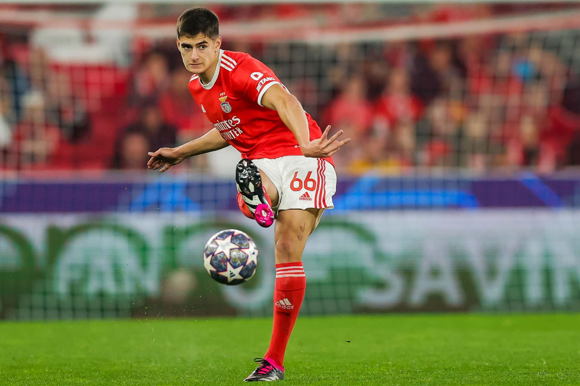 António Silva - Melhores jovens jogadores FM23