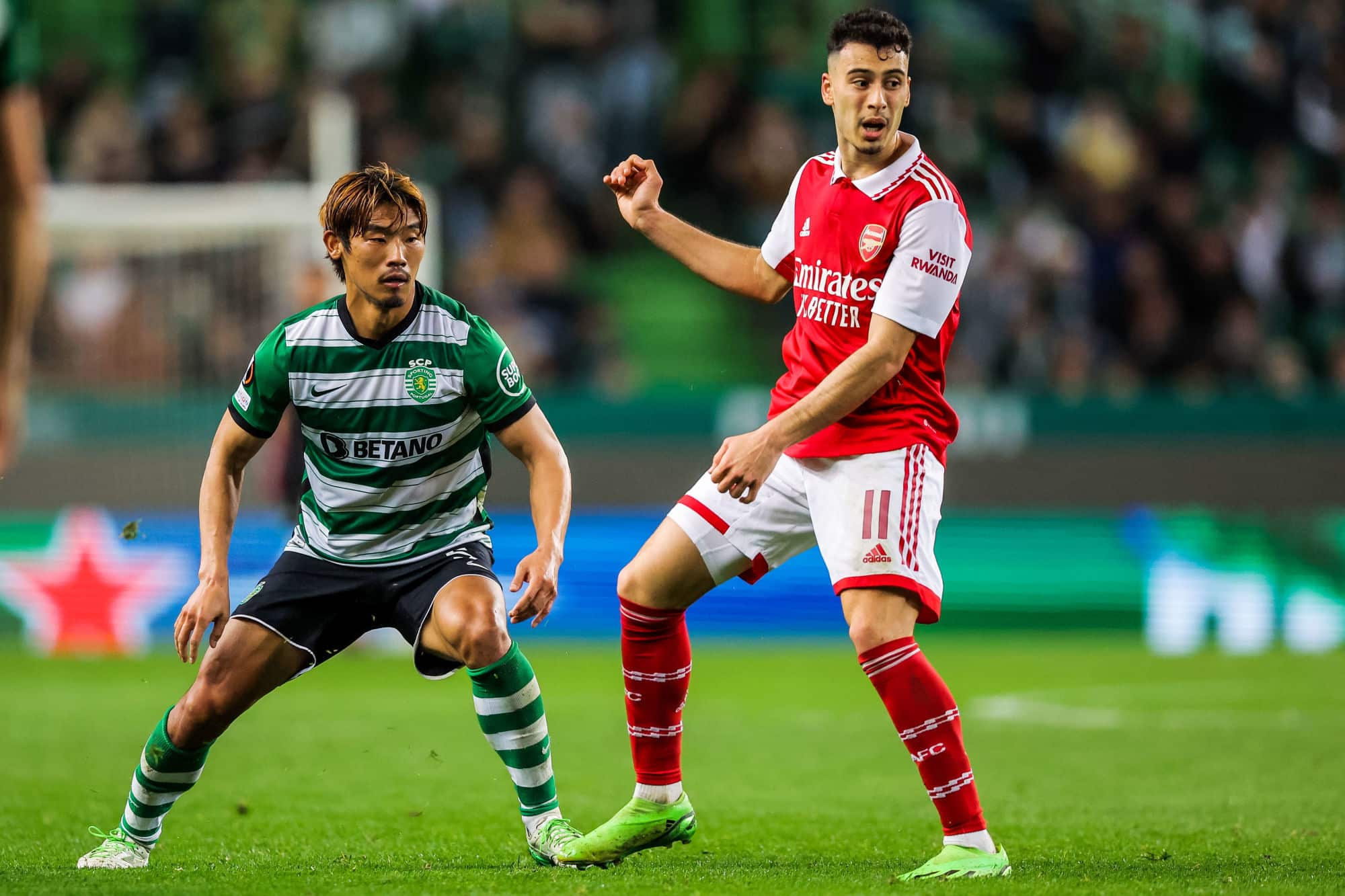 Sporting x Boavista: Transmissão ao vivo 12/03/2023