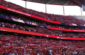 BENFICA: Nova Estrela para Schmidt faz História em Portugal!