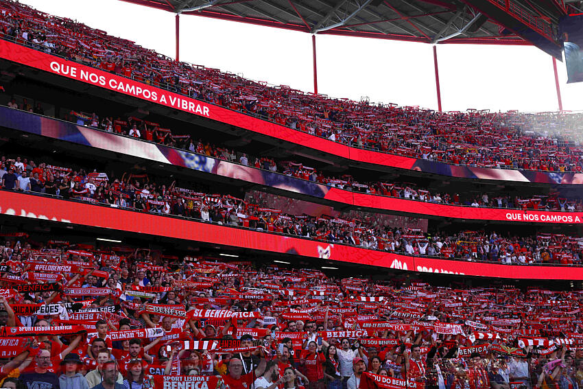 BENFICA: Nova Estrela para Schmidt faz História em Portugal!